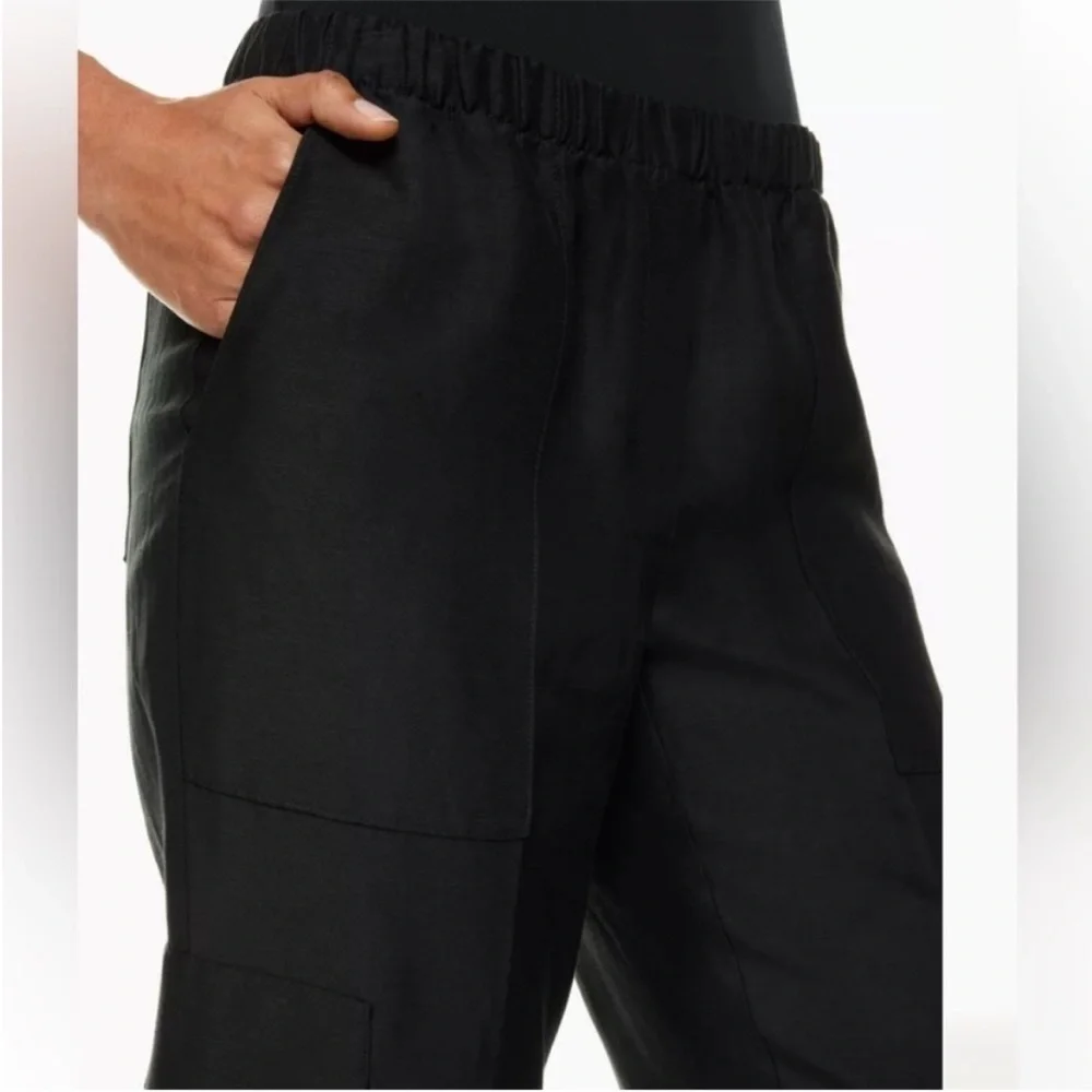 Aritzia babaton titan